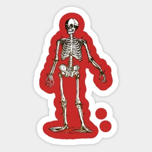 Anatomy Skeleton Sticker